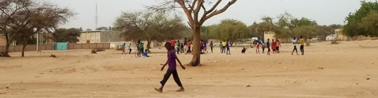 Young People Preventing Violent Extremism in the Lake Chad Basin 