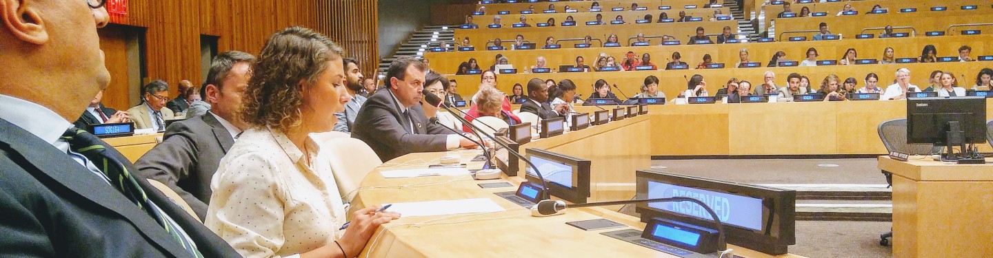 United Nations High-Level Political Forum on Sustainable Development held in 2019, New York