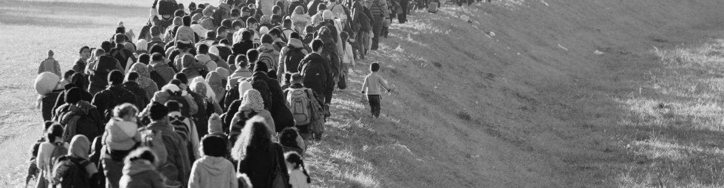 Migration