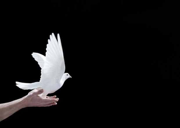 Peace 