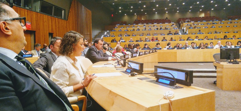 United Nations High-Level Political Forum on Sustainable Development held in 2019, New York